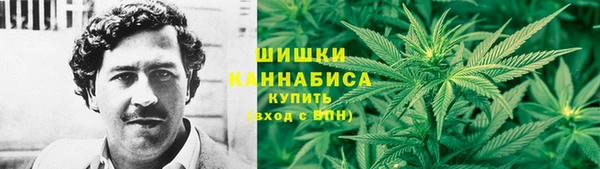 apvp Аркадак
