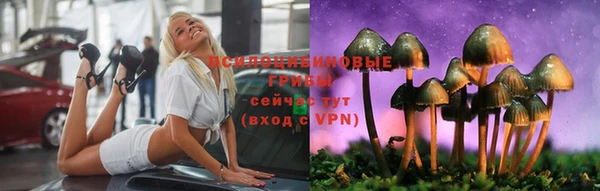 прущая мука Арсеньев