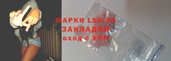 apvp Аркадак
