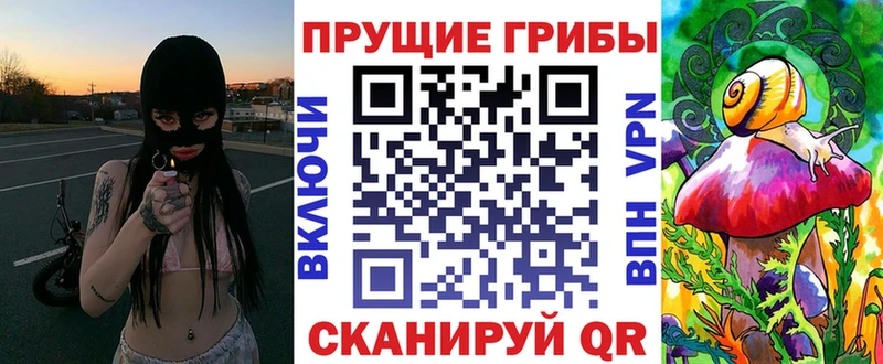 Галлюциногенные грибы мухоморы Заозёрный